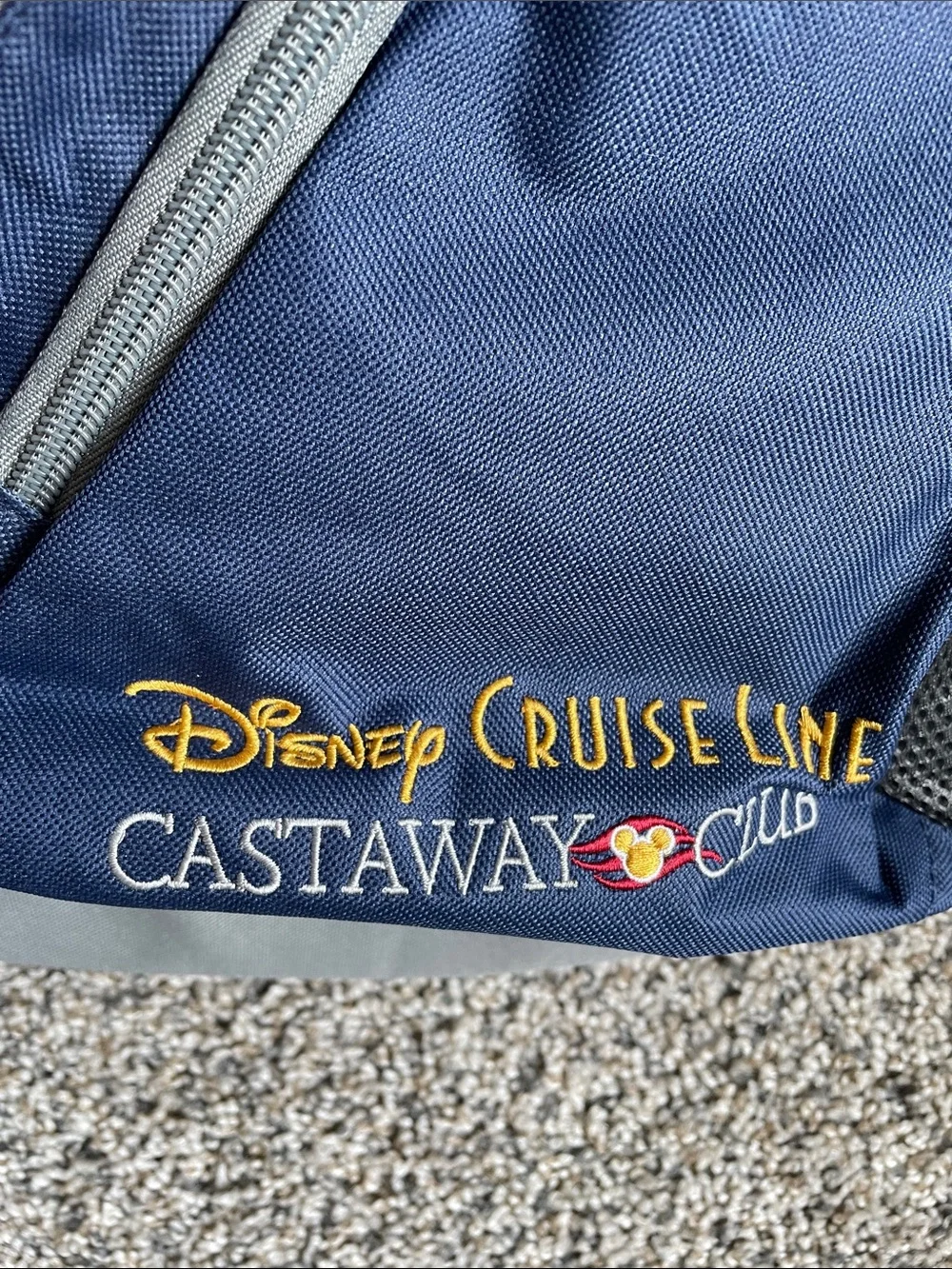 Disney cruise line